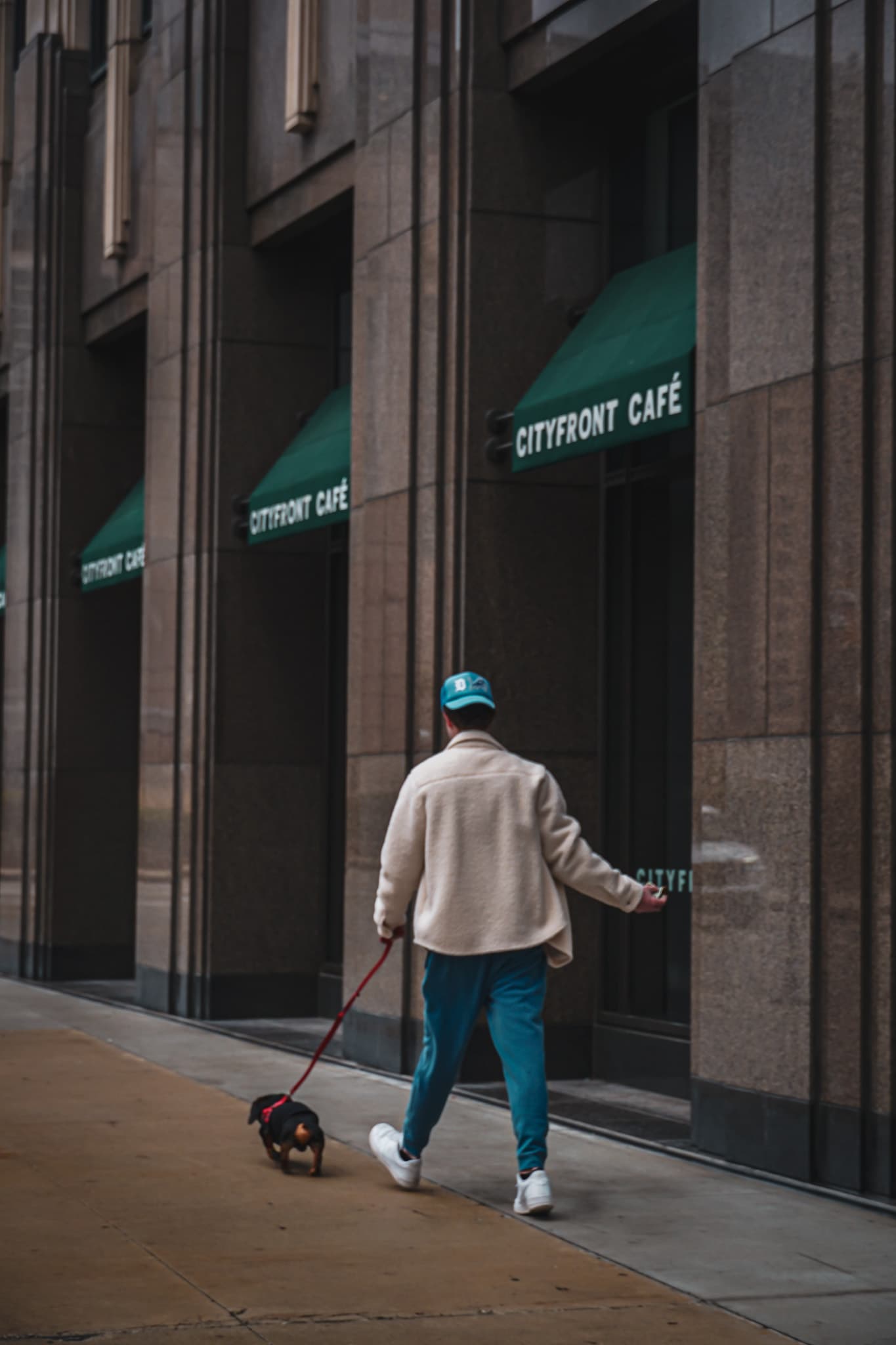 Chicago Winter photo 16