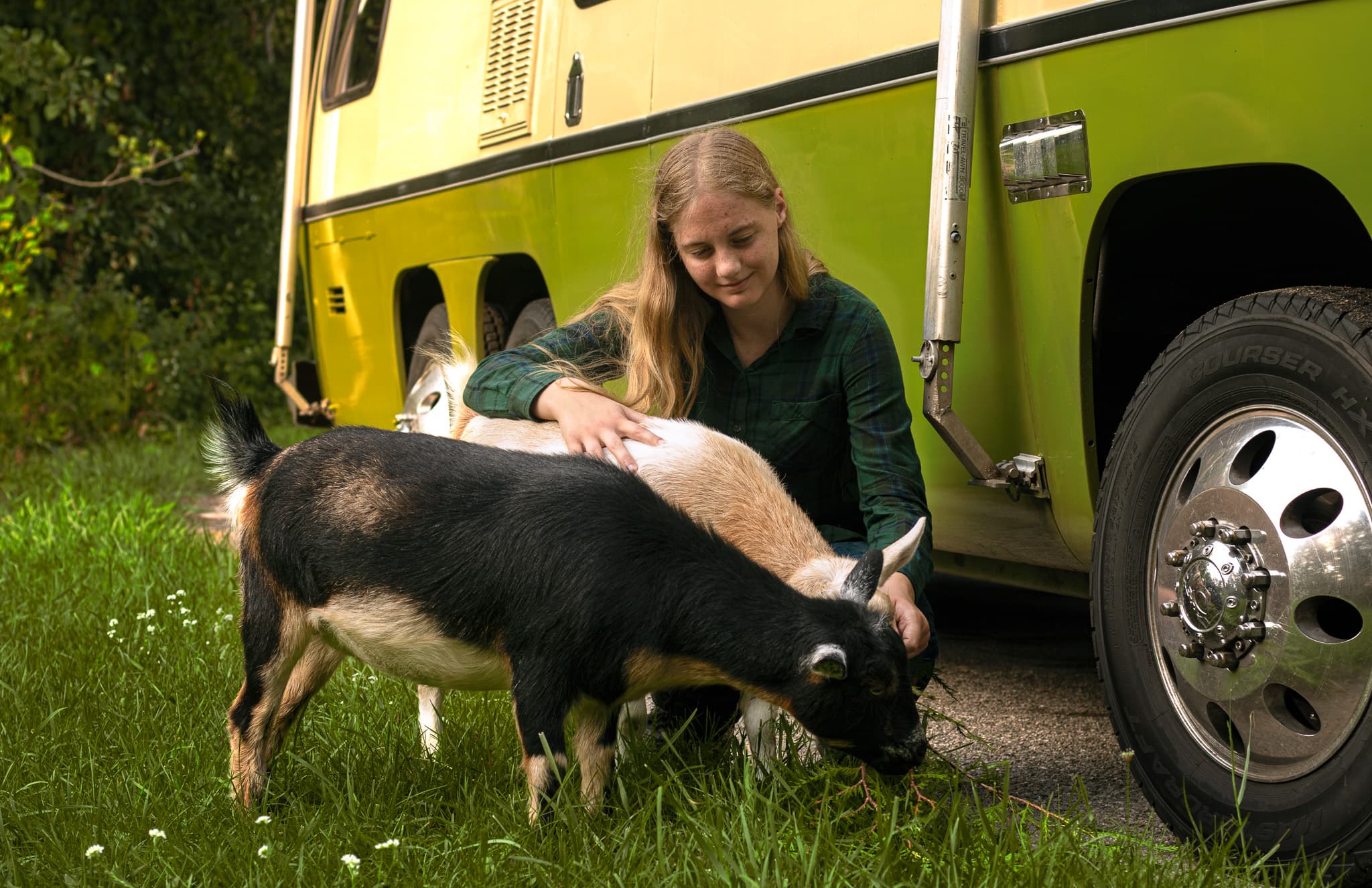 Northern Michigan Life cover