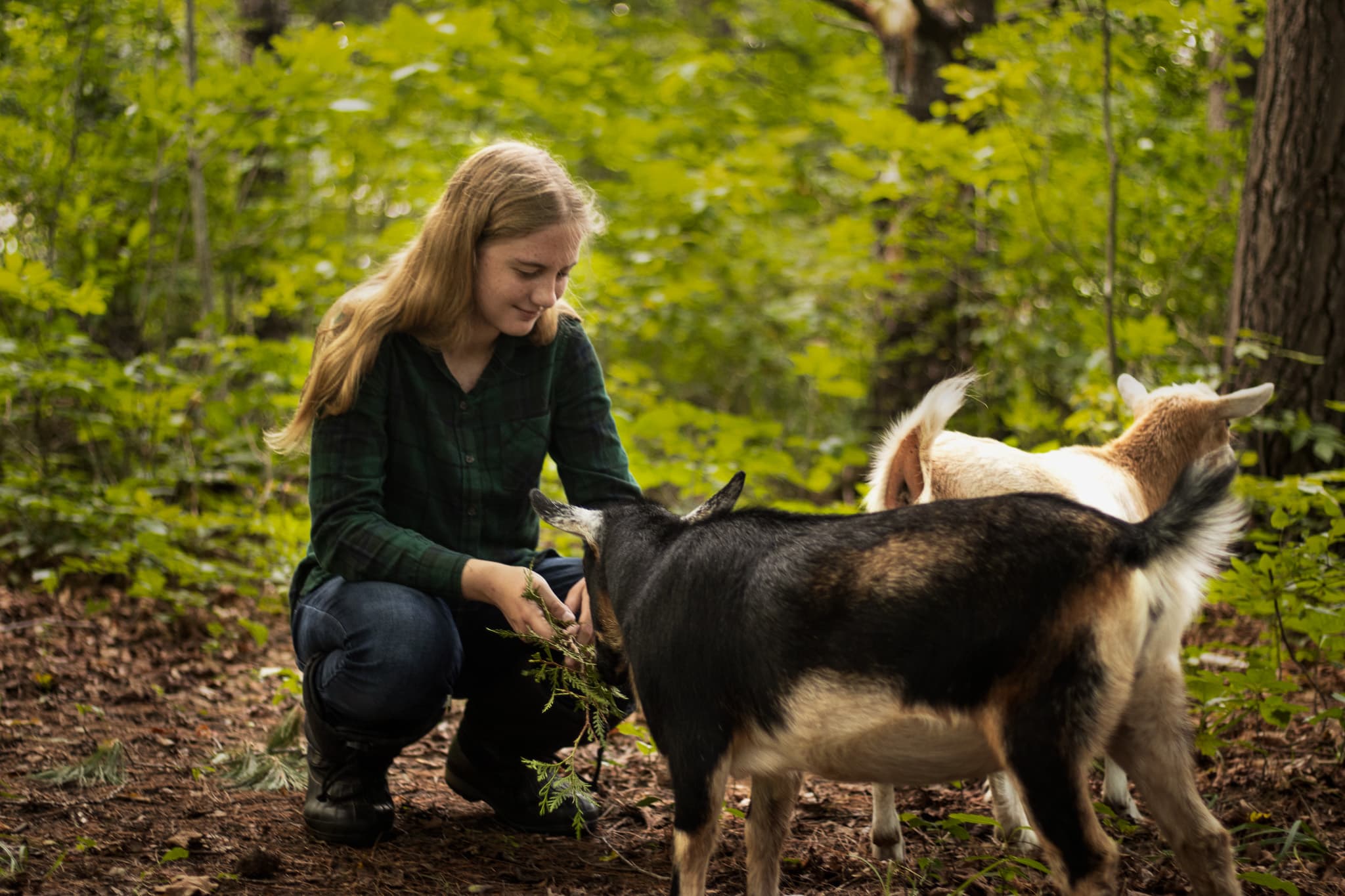 Northern Michigan Life photo 2